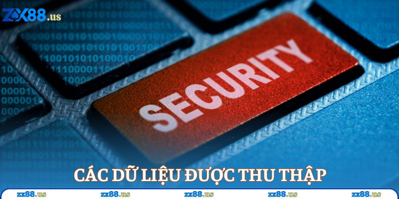 Các dữ liệu được thu thập