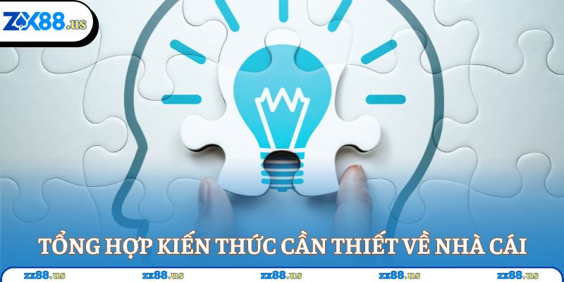 Tổng hợp kiến thức cần thiết về nhà cái