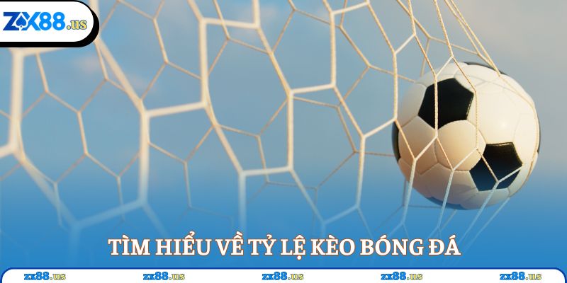 Tìm hiểu về tỷ lệ kèo bóng đá